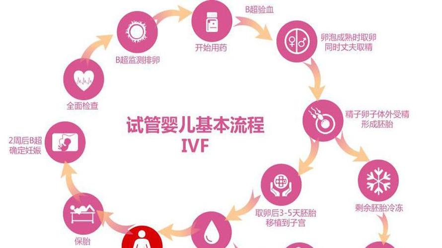 第三代试管婴儿的策略共享